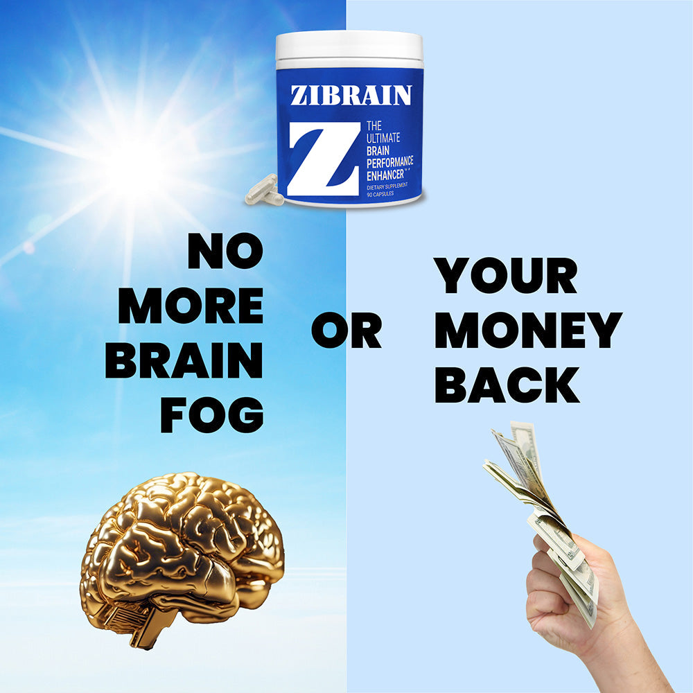 Z - The Ultimate Brain Performance Enhancer
